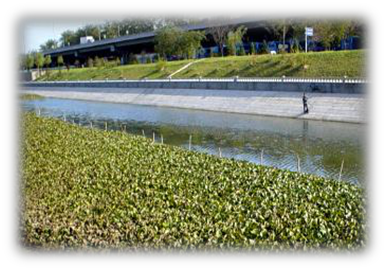 我國(guó)水生態(tài)環(huán)境修復(fù)現(xiàn)狀分析解讀（下）-