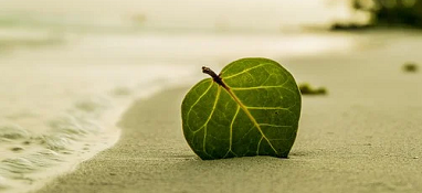 生態(tài)環(huán)境部：加強(qiáng)“三水”統(tǒng)籌、陸海聯(lián)動(dòng)，深入打好碧水保衛(wèi)戰(zhàn)！