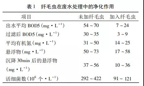 活性污泥中毒的原因及控制調(diào)節(jié)-