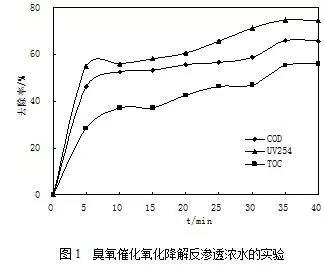 臭氧（催化）氧化技術在污水處理廠提標改造中的應用-
