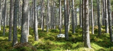 2022年環(huán)境專項(xiàng)執(zhí)法已經(jīng)開始！這些企業(yè)是檢查重點(diǎn)！