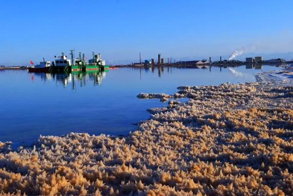 上海國(guó)際環(huán)保展|青海省發(fā)布最新生態(tài)環(huán)境報(bào)告