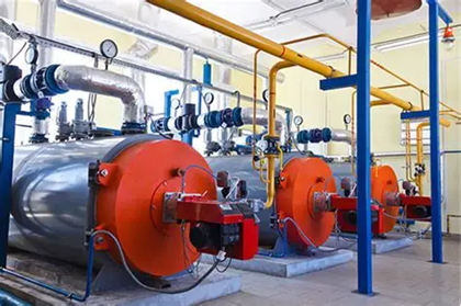 上海綠色制造展｜生物質天然氣制綠氨技術獲國際認證，實現全生命周期碳足跡追蹤